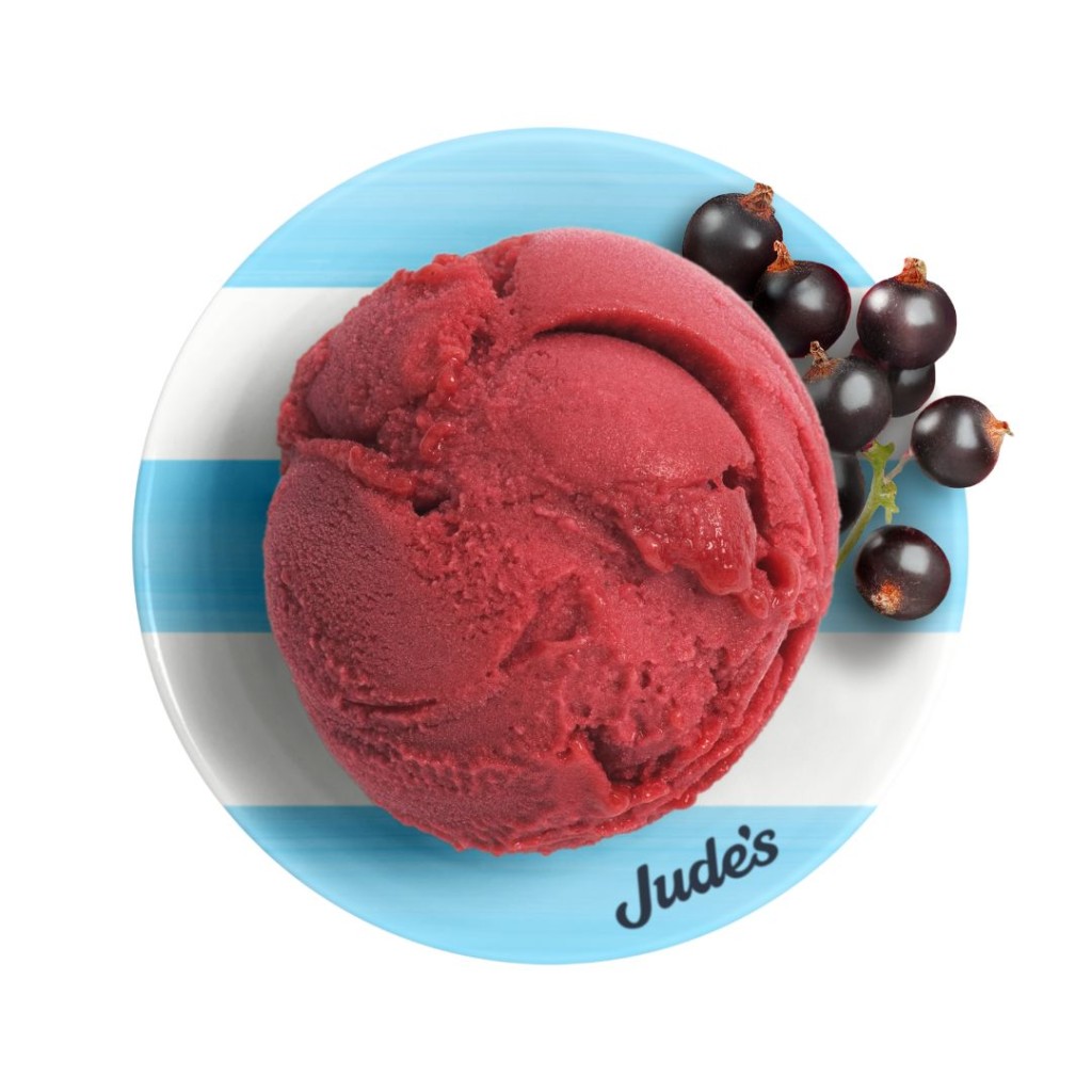 Sorbet Blackcurrant, Vegan - Judes