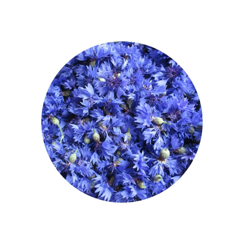 Edible flowers, Cornflowers