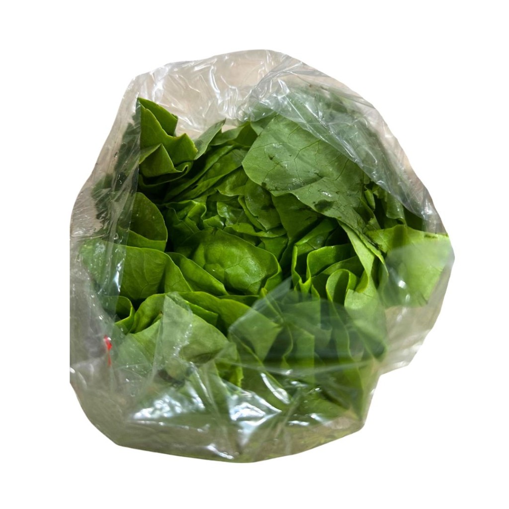 Flat Lettuce