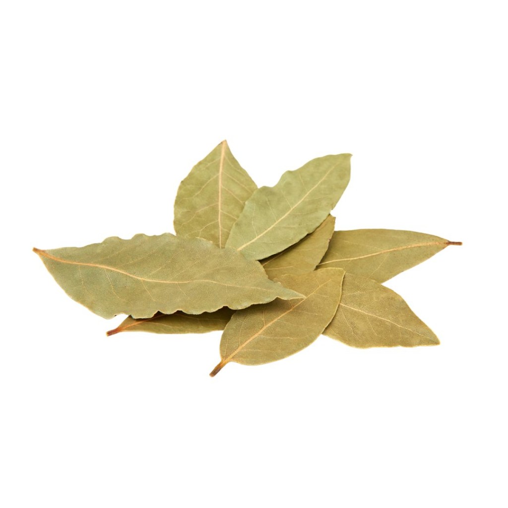 Bay leaf