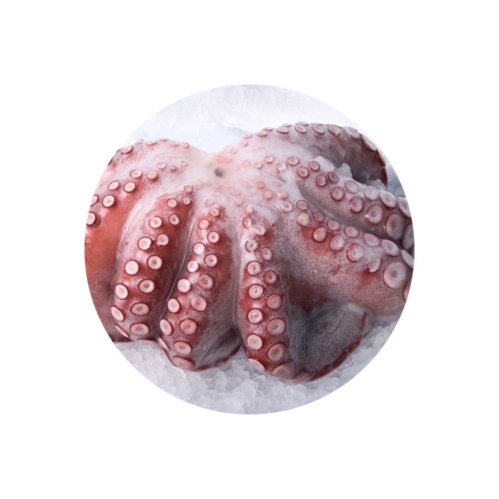 Whole octopus