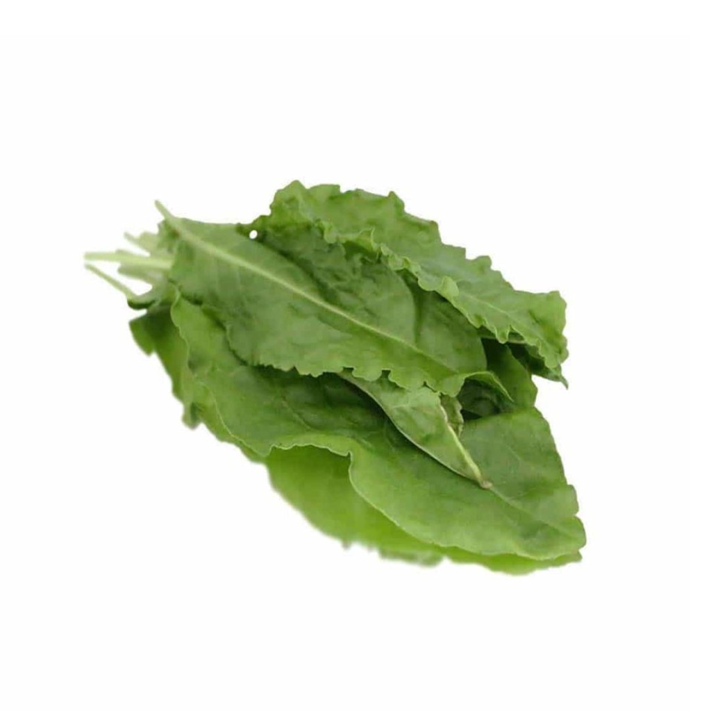 Sorrel, Fresh