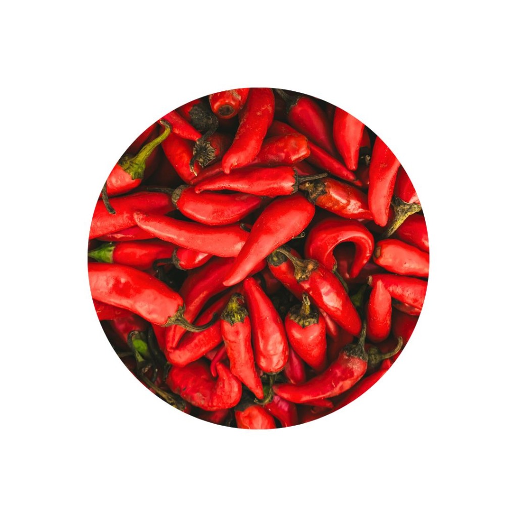 Capsicum, Sweet, Red