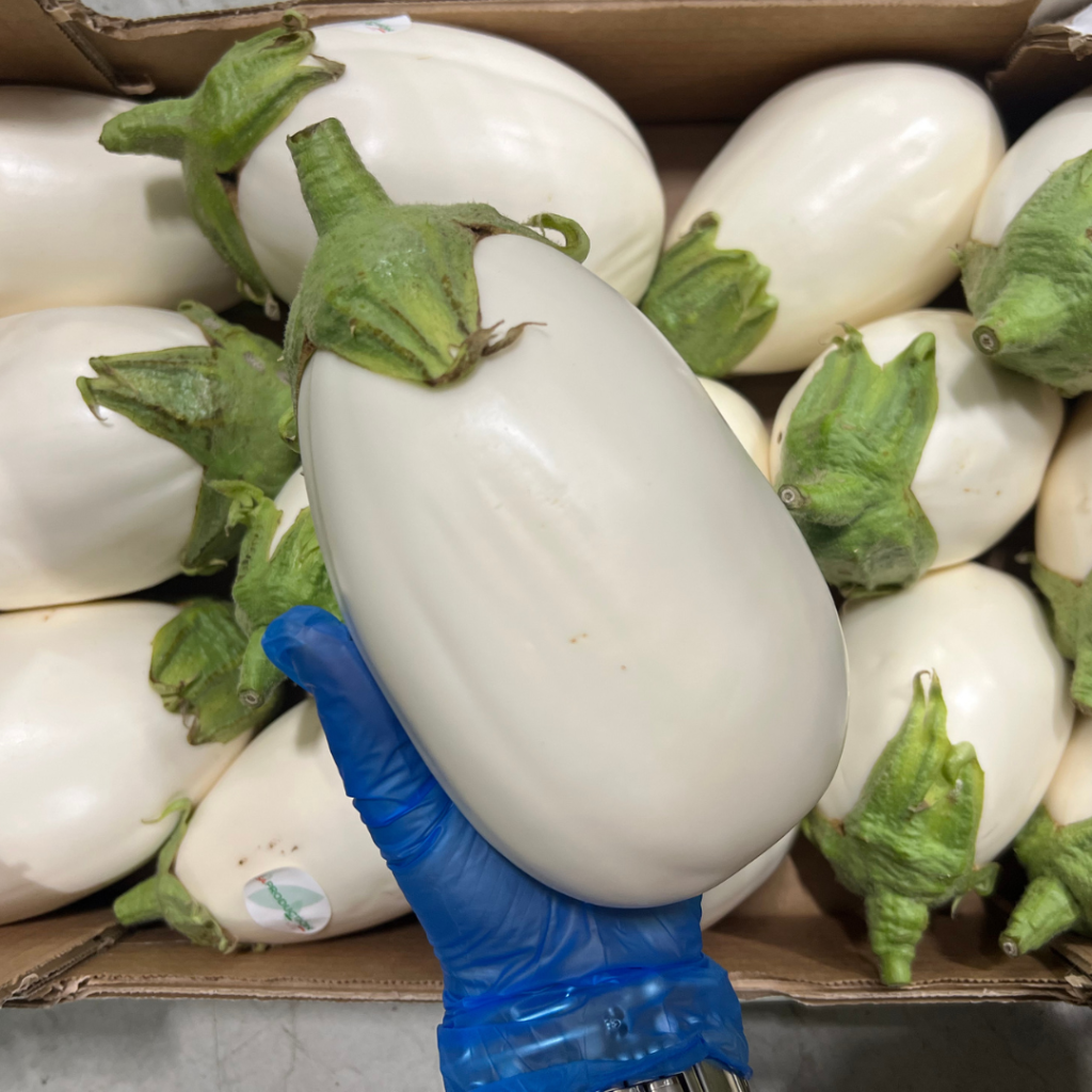 AUBERGWHITEFR
