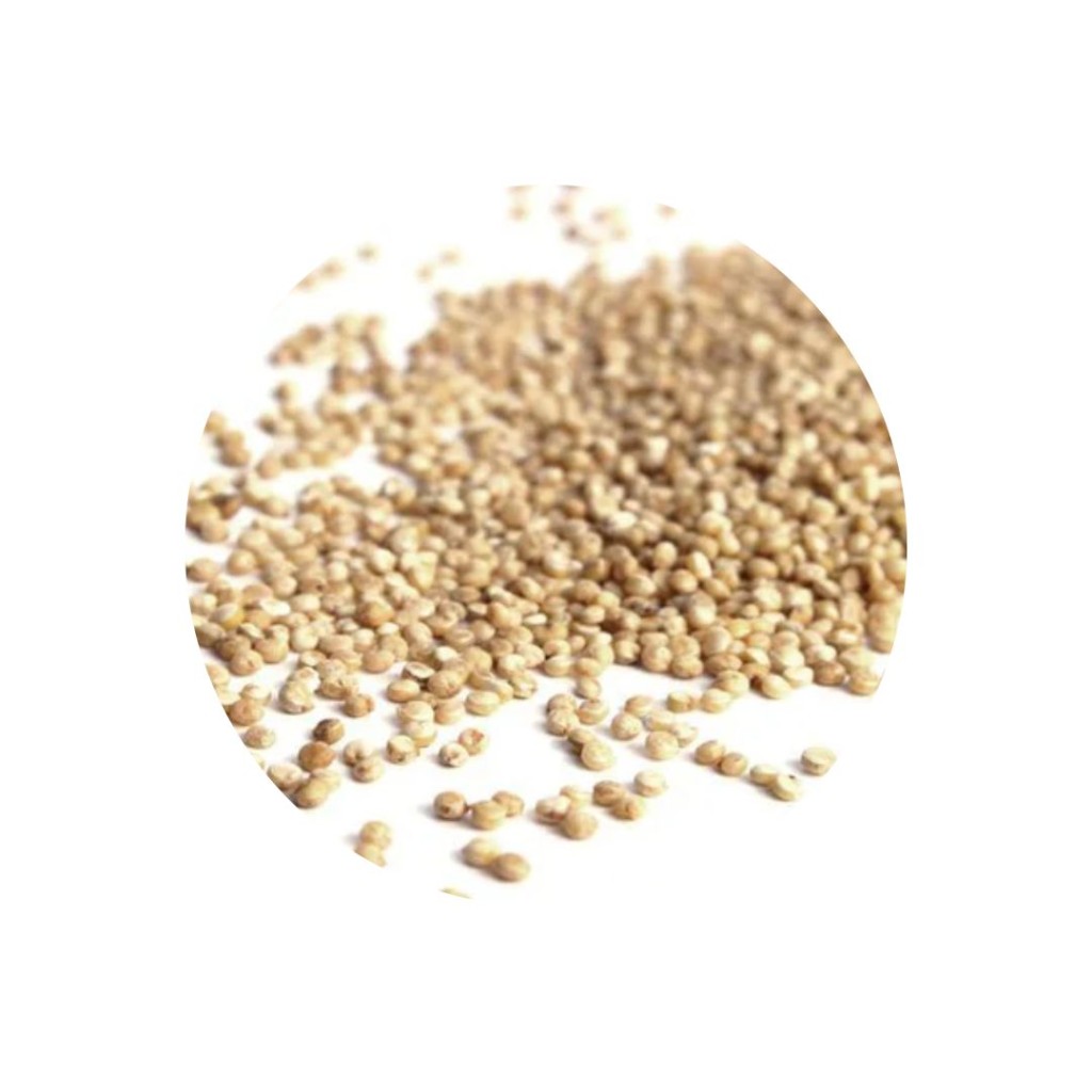 Quinoa White