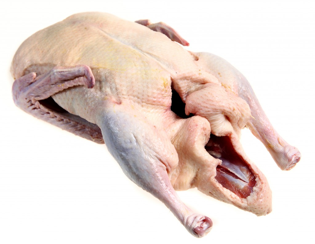 Duckling Eff au Sang