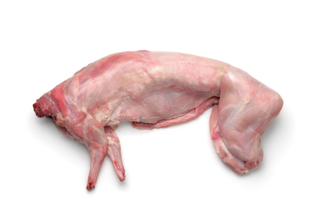 Rabbit Front