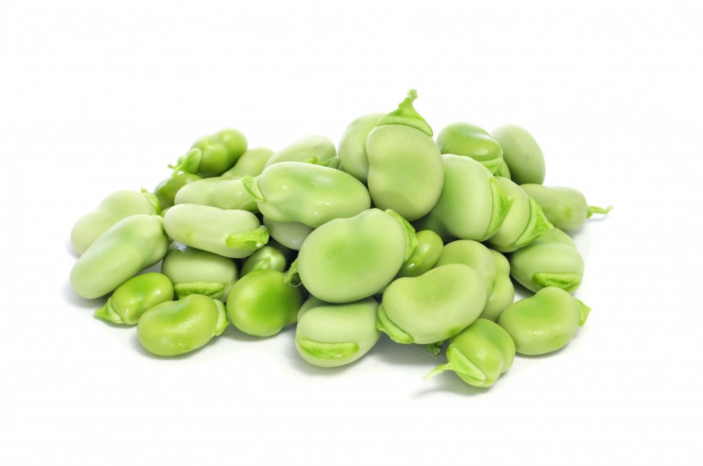 BROADBEANFR
