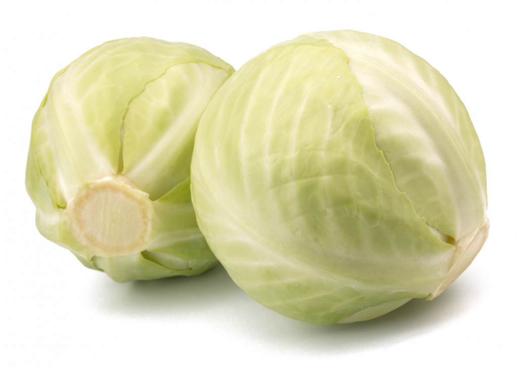 White Cabbage x1 Albion Fine Foods