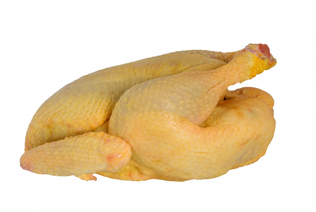 CHICKYELWHM