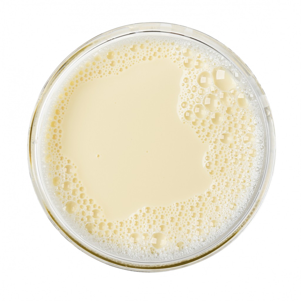CREAMSOYA