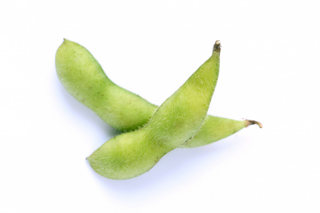 Edamame Beans Shell On 500g Albion Fine Foods Ltd.