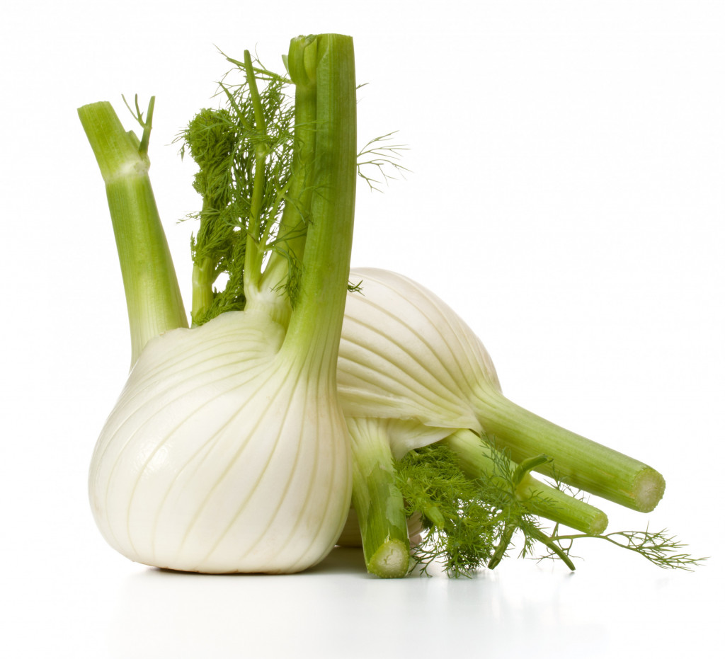 Fennel Heads x2 Albion Fine Foods