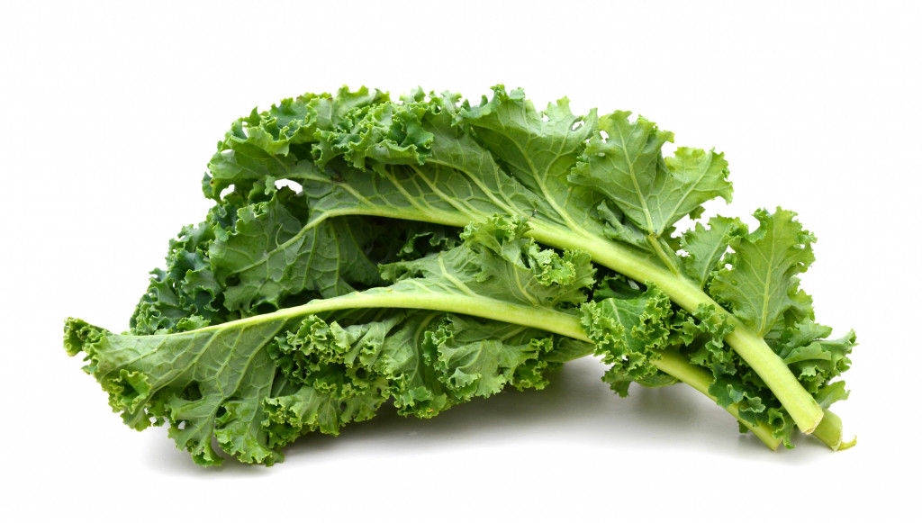 Green Kale 250g Albion Fine Foods