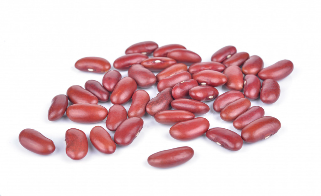 Red Kidney Beans Tin A10 Albion Fine Foods Ltd.