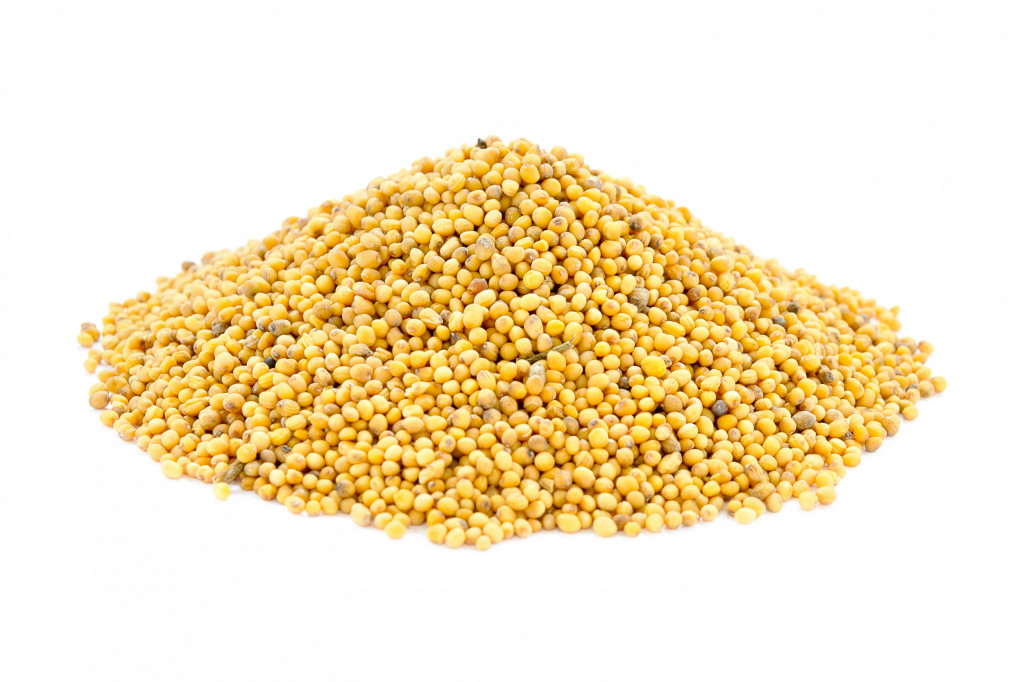 Mustard Seeds Yellow 800g Albion Fine Foods Ltd.