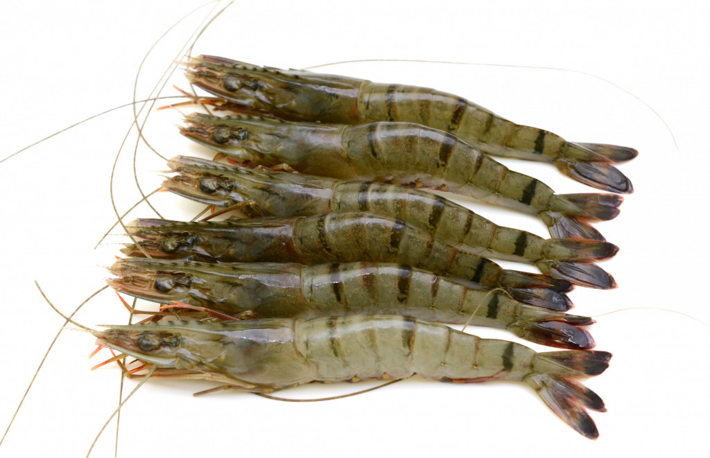 Whole Tiger Prawns Raw 600g Albion Fine Foods Ltd.