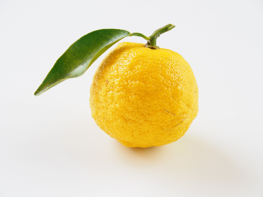 Boiron Yuzu Puree