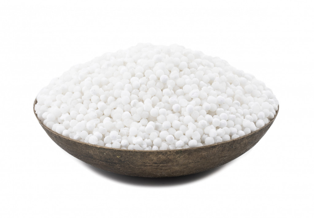 Sago Seeds Small 375g | Albion Fine Foods