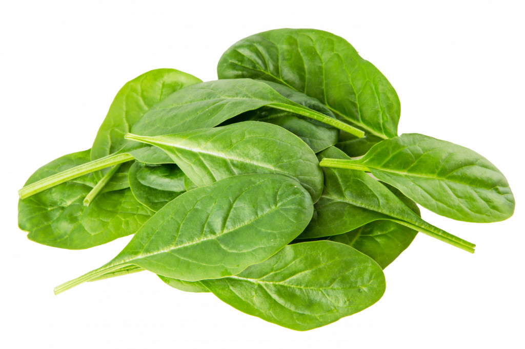 Spinach Leaves Bag 200g Albion Fine Foods