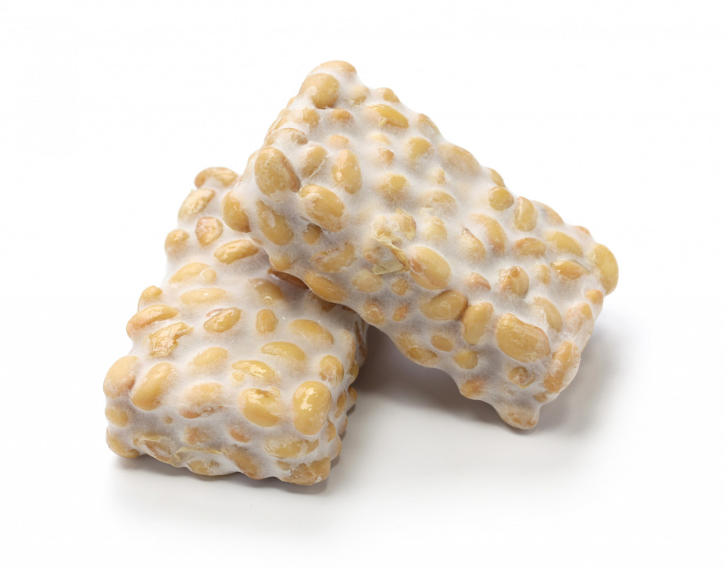 Tempeh Plain Org