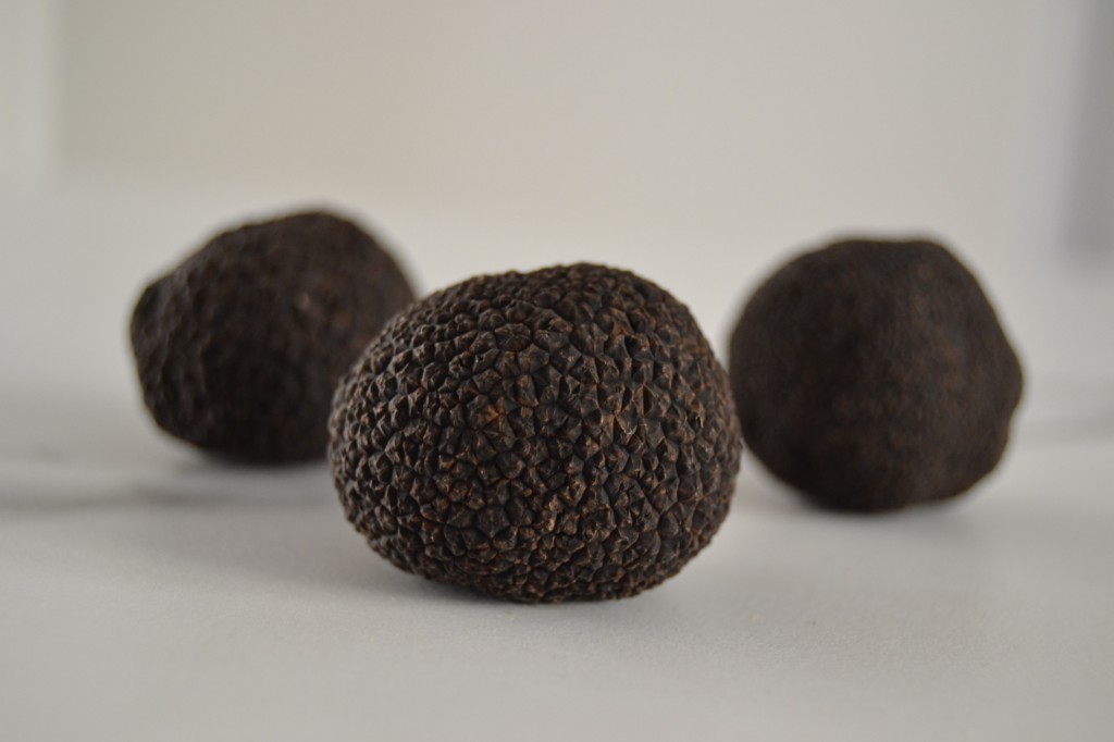 Whole Summer Truffles in Brine 100g Albion Fine Foods