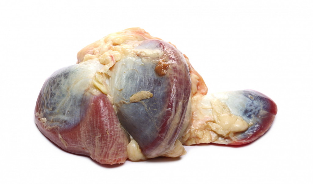 Goose Gizzards