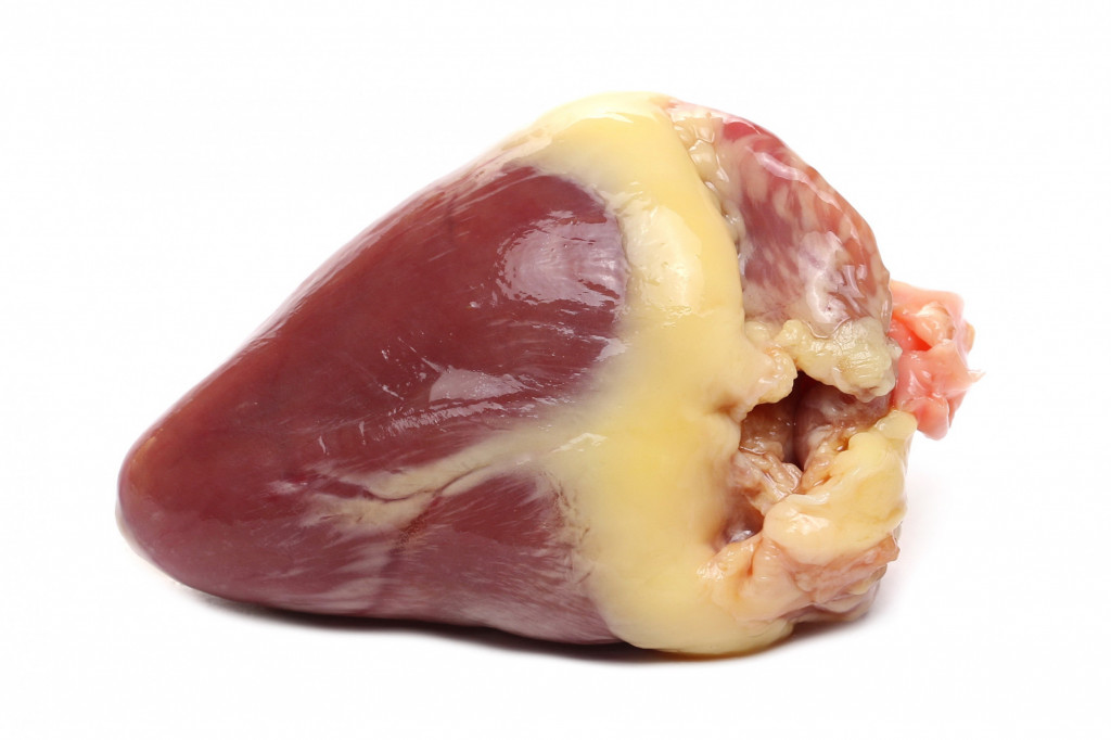 Goose Heart