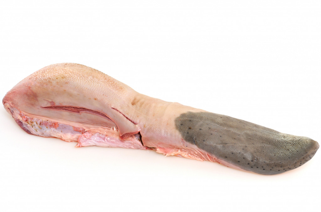 Ox Tongue