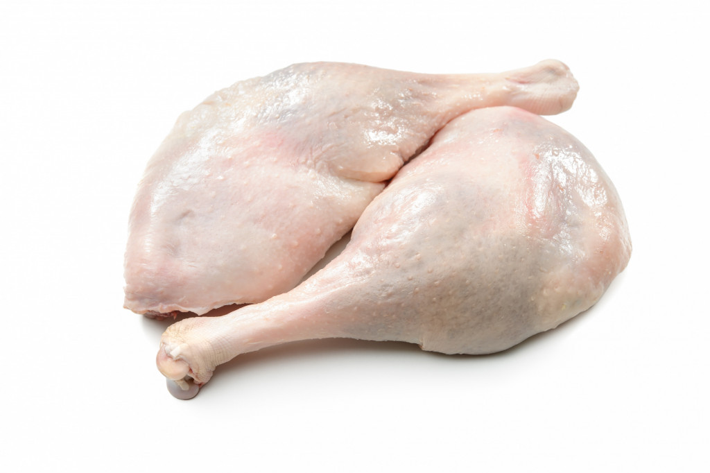 Partridge Leg Red