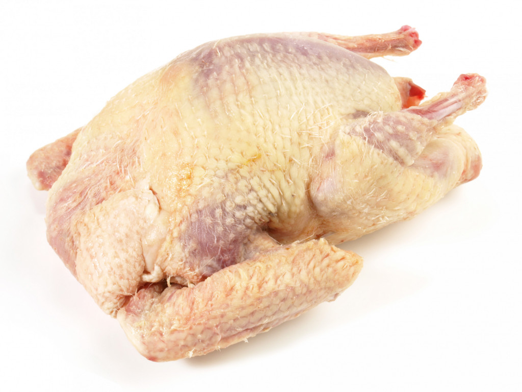 Pigeon Squab Large Free Range