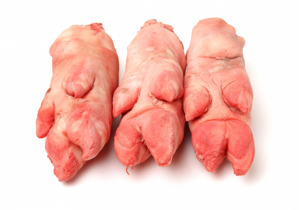 Pig Trotter English