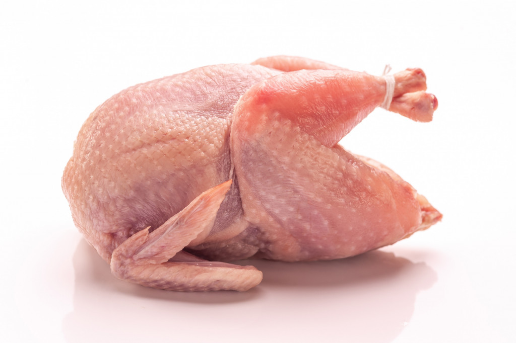Jumbo Quail Imperial