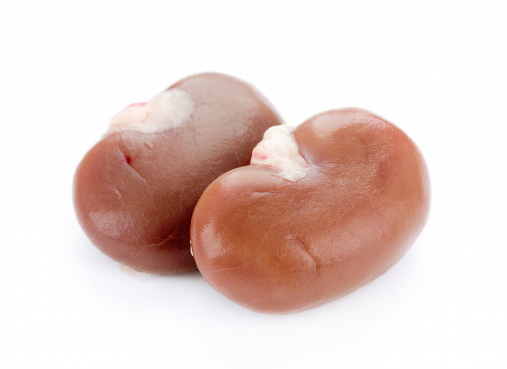 Rabbit Kidneys