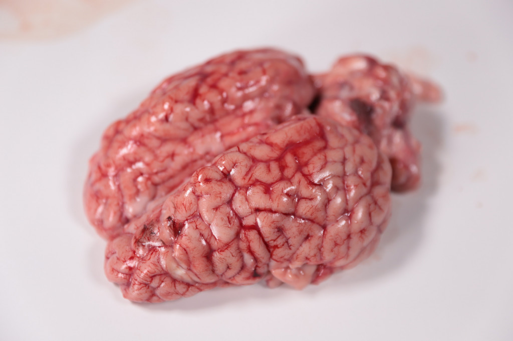 Veal Brain