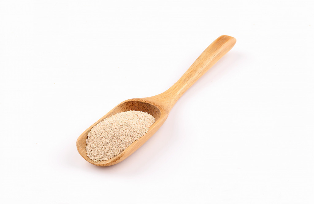 Yeast Starter Yoghurt Culture 9.2g Albion Fine Foods