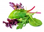 Salad Leaf Mix