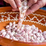 Borlotti Beans