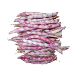 Borlotti Beans