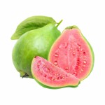 Boiron Guava Puree