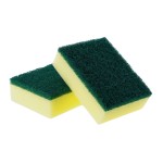 Sponge Scourers