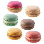 Macaroon Shells 6 Flavours