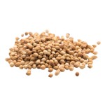 Coriander Seeds