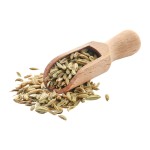 Fennel Seeds