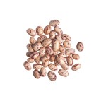 Pinto Beans Dried