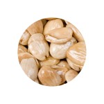 Clear round tub containing 1 kilogram of salted Marcona almonds on a white background.