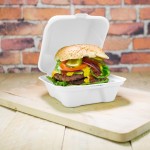 Takeaway Paper Burger Box