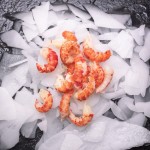 CRAYFISH