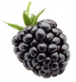 Essence - Blackberry