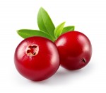 Essence - Cranberry